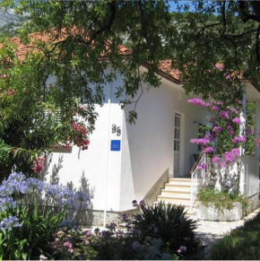 Hotels in Peljesac
